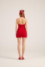 Rachel Red Halter Neck Mini Dress-2